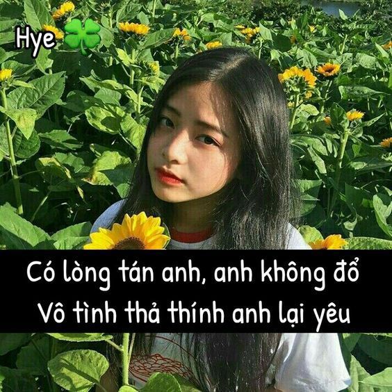 Loạt stt chất yêu ngắn gọn câu like cực khủng