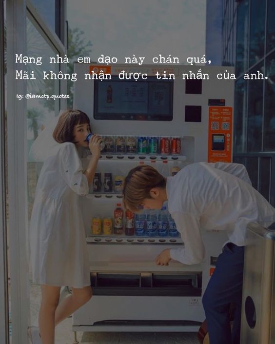 Stt thả thính Crush bằng lời bài hát, thả tới đâu say tới đó