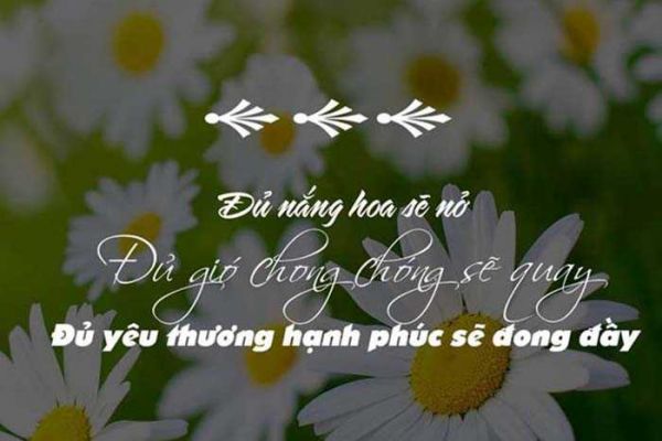 1000+ Stt yêu đời vui vẻ khiến bạn hạnh phúc hay nhất mọi thời đại 