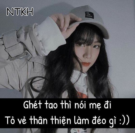 1001 Stt chửi xéo cay cú, càng nghe càng đã nhất hay mọi thời đại 