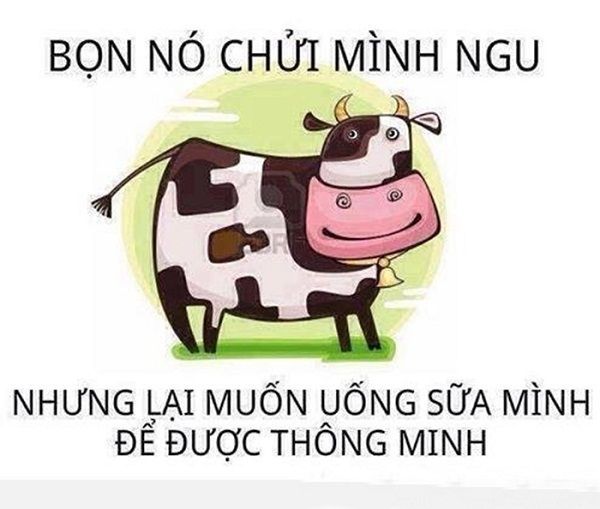 Tổng hợp Stt mệt mỏi trong công việc muốn buông bỏ tất cả