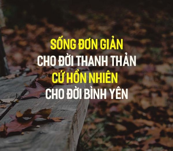 1000+ những câu nói hay về cuộc sống khó khăn giúp bạn mạnh mẽ hơn