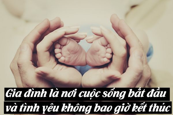 1000+ những câu nói hay về cuộc sống làm thay đổi cả cuộc đời 