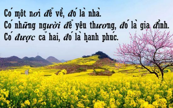 1000+ những câu nói hay về cuộc sống và tình yêu vô cùng ý nghĩa 