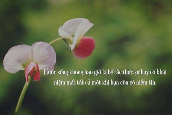 1000+ Stt cuộc sống bon chen hay nhất càng đọc càng thấm 