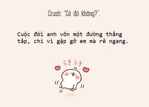 1000+ Stt tán gái đầy cảm xúc khiến Crush đổ gục