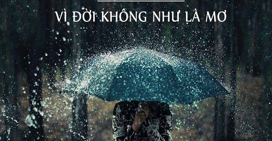 [Tuyển tập] Stt đểu chất phát ngất dằn mặt bọn đểu hay nhất 