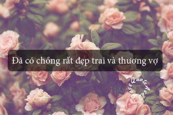 Tuyển tập Stt vợ chồng dễ thương, tình cảm, siêu lãng mạn 