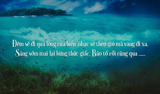 Những bài thơ về biển ngọt ngào và sâu lắng hay nhất thời đại