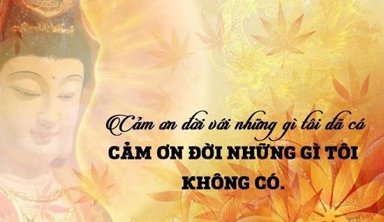 Những câu nói hay của phật ý nghĩa nhất làm thay đổi cuộc đời bạn