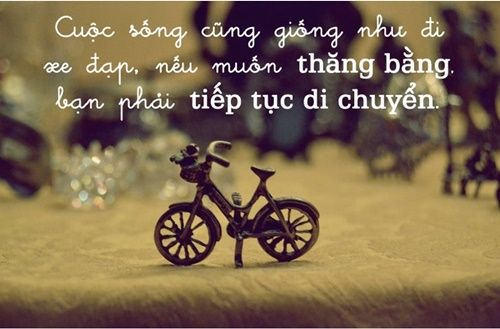 Những câu nói hay về cách sống ý nghĩa làm thay đổi cuộc đời bạn 