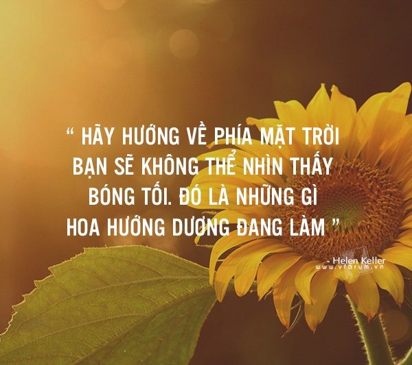 Những câu nói hay về công việc nhất định phải đọc một lần trong đời