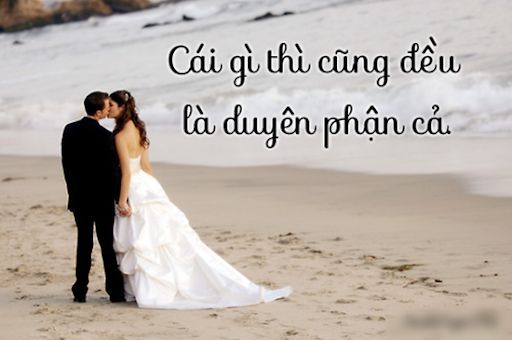 Những câu nói hay về hạnh phúc ngọt ngào khiến trái tim bạn tan chảy