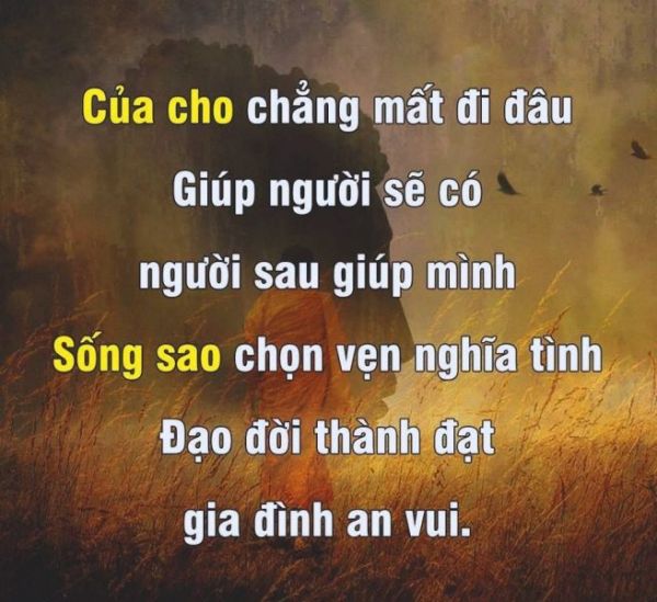 Những câu nói hay về sự cho đi khiến trái tim bạn thổn thức