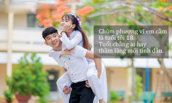 Những câu nói hay về trường học khiến trái tim thổn thức bồi hồi 