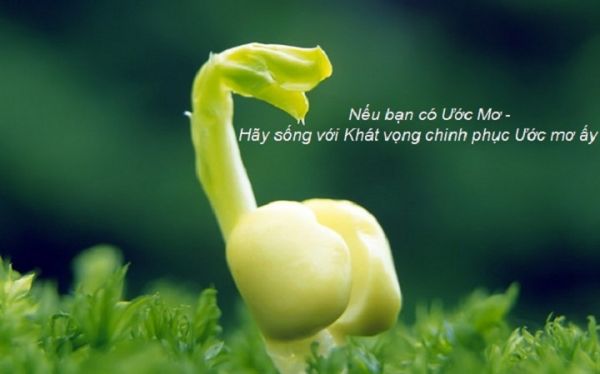 Những câu thơ hay về cuộc sống tình yêu đọc để thấm sự đời 