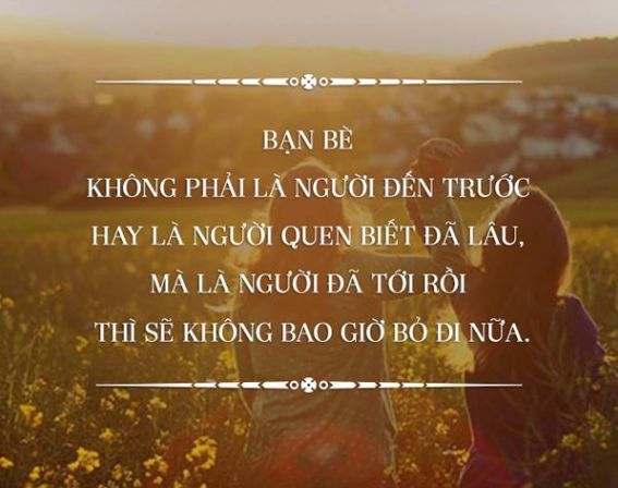 Những câu thơ hay về tình bạn chân thành và ý nghĩa nhất