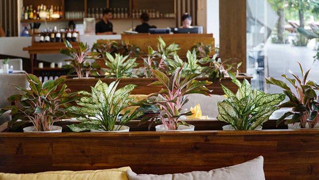 Thiết kế thi công tiểu cảnh nhà hàng tại Nghệ An Hà Tĩnh