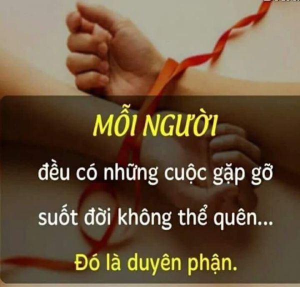 Châm Ngôn Cuộc Sống Chất, Ý Nghĩa Làm Thay Đổi Cuộc Đời Bạn