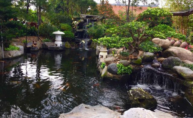 Tư vấn thiết kế thi công hồ cá koi tại Đà Lạt - Lâm Đồng