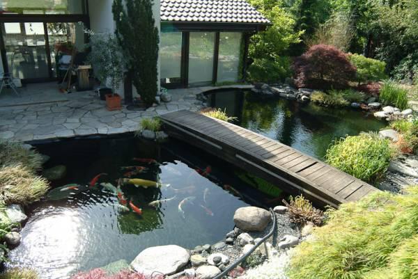 Tư vấn thiết kế thi công hồ cá koi tại Đà Lạt - Lâm Đồng