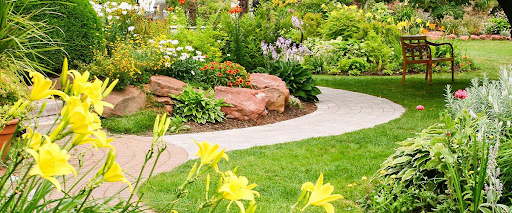 Thiết kế thi công cảnh quan sân vườn chuyên nghiệp, uy tín