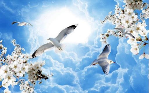 Dịch vụ vẽ trần mây tại Bắc Giang đẹp mê hồn từ Duy Quang