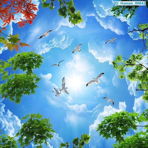 Dịch vụ vẽ trần mây tại Bắc Giang đẹp mê hồn từ Duy Quang