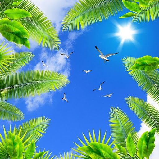 Dịch vụ vẽ trần mây tại Bắc Giang đẹp mê hồn từ Duy Quang