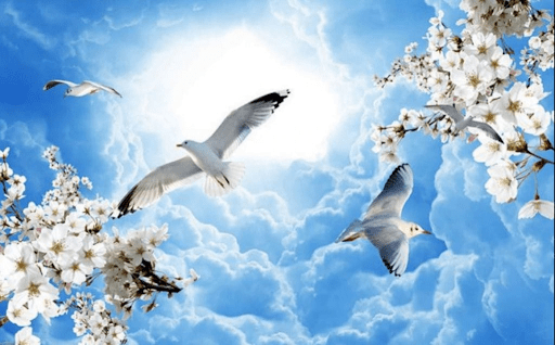 Dịch vụ vẽ trần mây tại Cao Bằng chất lượng, uy tín trên thị trường