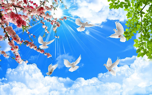 Dịch vụ vẽ trần mây tại Cao Bằng chất lượng, uy tín trên thị trường