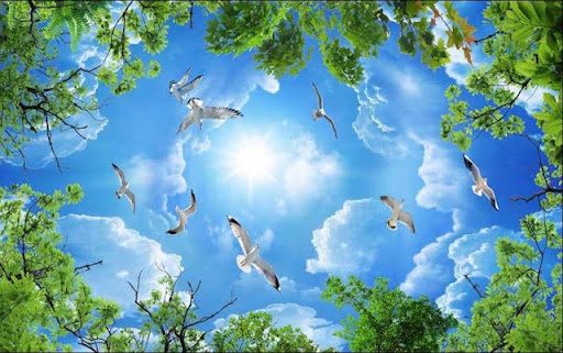 Dịch vụ vẽ trần mây tại Đà Nẵng giá rẻ, chất lượng cao