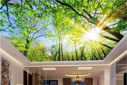 Đơn vị thi công vẽ trần mây tại Hưng Yên được yêu thích nhất