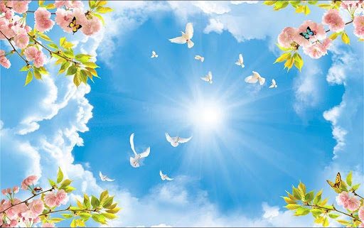 Vẽ trần mây tại Quảng Bình – Nghệ thuật của không gian sống