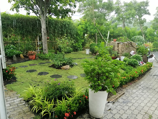 Thiết Kế Cảnh Quan Sân Vườn Tại Đắc Nông