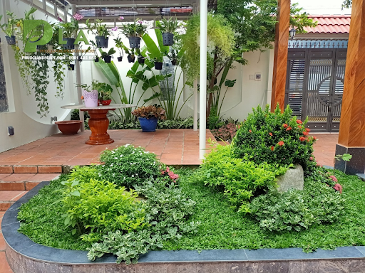 Đơn Vị Thiết Kế Cảnh Quan Sân Vườn Tại Vĩnh Long Chuẩn Thẩm Mỹ