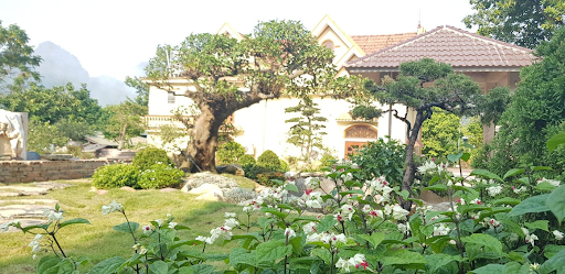Thiết Kế Cảnh Quan Sân Vườn Tại Quảng Ninh