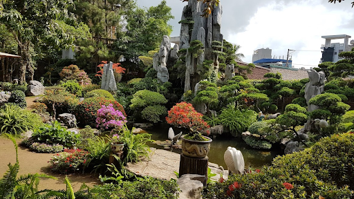 Dịch Vụ Thiết Kế Cảnh Quan Sân Vườn Tại Quảng Trị Chuyên Nghiệp