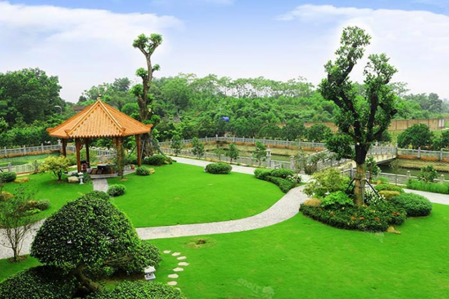 Thiết kế sân vườn đẹp