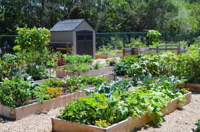 Thiết Kế Sân Vườn Nhà Quê Đẹp