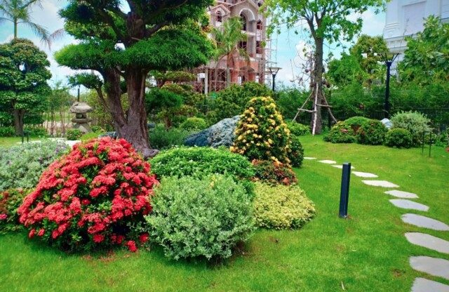 5 Lợi ích Thiết Kế Thi Công Sân Vườn Tại Hoà Bình Không Thể Bỏ Qua