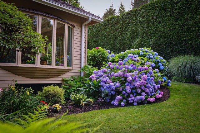 Tìm Hiểu Về Thiết Kế Thi Công Sân Vườn Tại Lai Châu