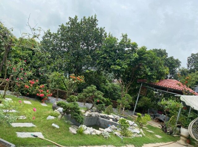 Tìm Hiểu Về Thiết Kế Thi Công Sân Vườn Tại Lai Châu