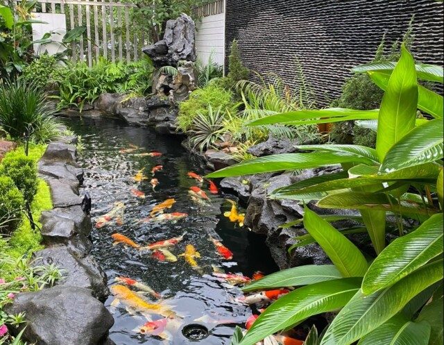 Tìm Hiểu Về Thiết Kế Thi Công Sân Vườn Tại Lai Châu