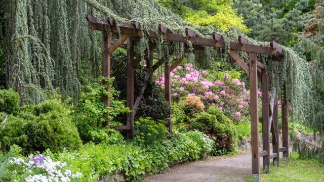 [Tư Vấn] Thiết Kế Thi Công Sân Vườn Tại Lào Cai Uy Tín - Chất Lượng