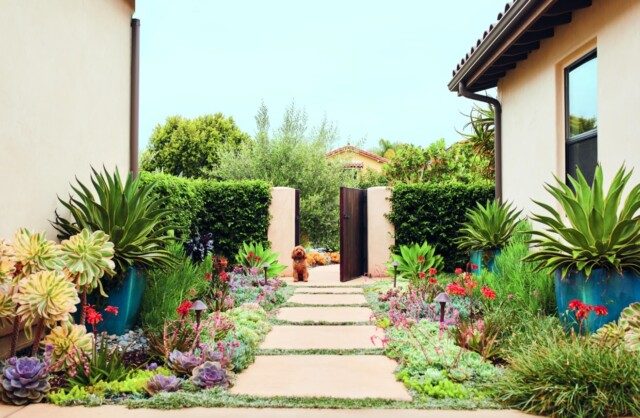 Bí quyết thiết kế thi công sân vườn tại Thái Nguyên đẹp