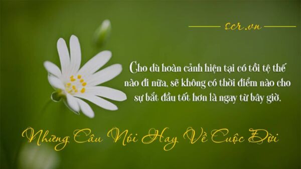 Cap hay về cuộc sống buồn