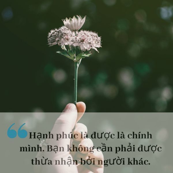 Cap thả thính sang chảnh về cuộc sống