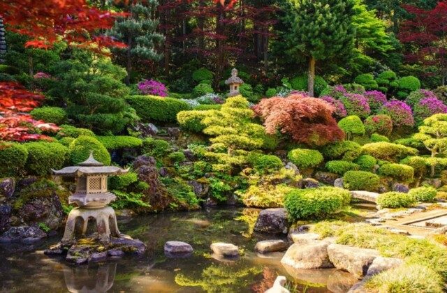 Duy Quang Art chuyên thiết kế thi công sân vườn tại Hải Dương