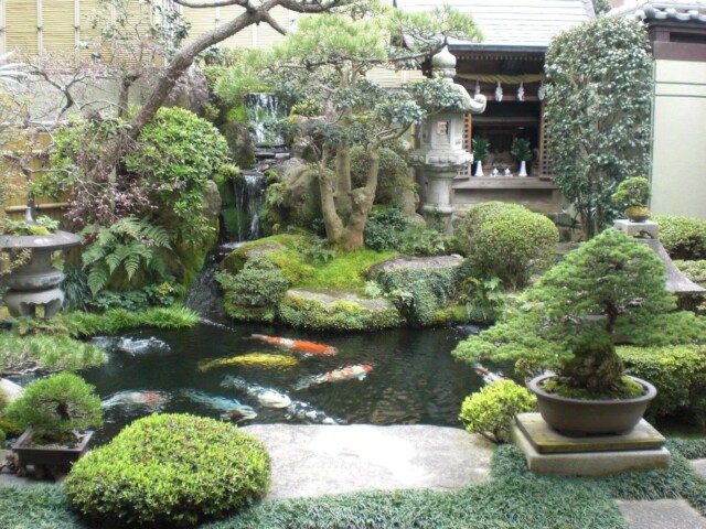 Tại sao hiện nay thiết kế thi công sân vườn tại Hà Nam lại trở nên phổ biến?